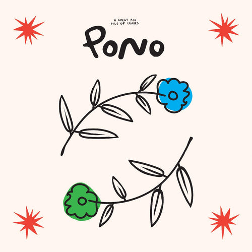 A Great Big Pile of Leaves - Pono CD CD