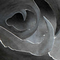 A-SYMMETRY - I Am Life CD CD