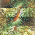 Active Surplus - Mirroring Vinyl LP