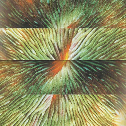 Active Surplus - Mirroring Vinyl LP