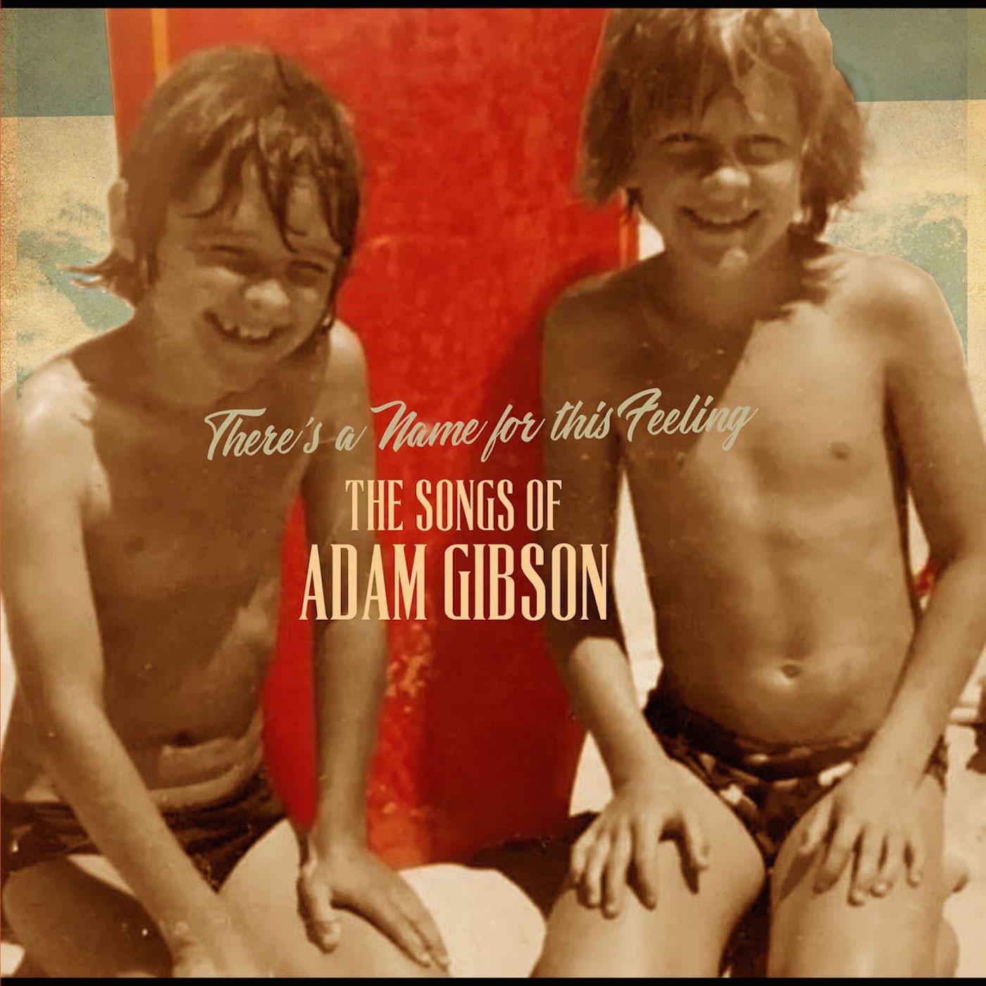 Adam Gibson - The Songs of Adam Gibson Vinyl 2LP