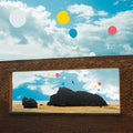 Admiral Fallow - First Of The Birds (Yellow Vinyl) Vinyl