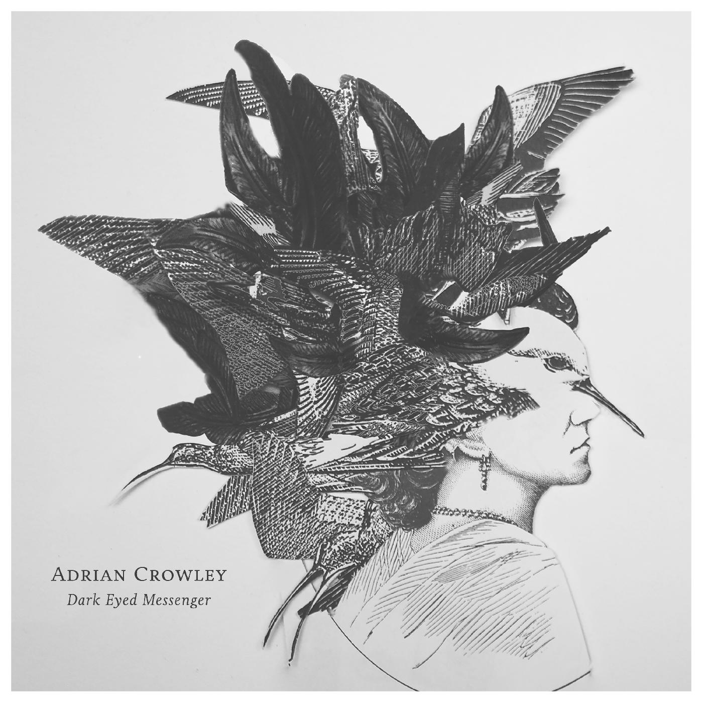 Adrian Crowley - Dark Eyed Messenger Vinyl LP