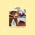 Adults - Green Vinyl) The Seeds We Sow Are Sprouting Buds Nonetheless (Indie Exclusive Vinyl