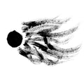 AGF & VARIOUS - Dissidentova CD CD