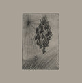 AINE O'DWYER - Locusts Vinyl LP