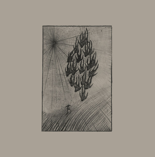 AINE O'DWYER - Locusts Vinyl LP