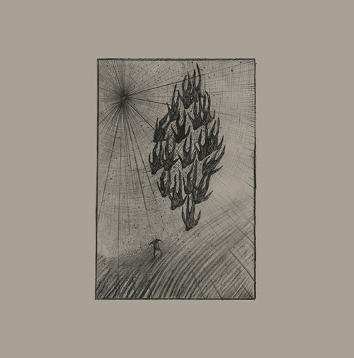 AINE O'DWYER - Locusts Vinyl LP
