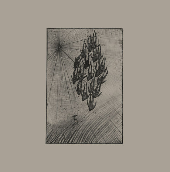 AINE O'DWYER - Locusts Vinyl LP