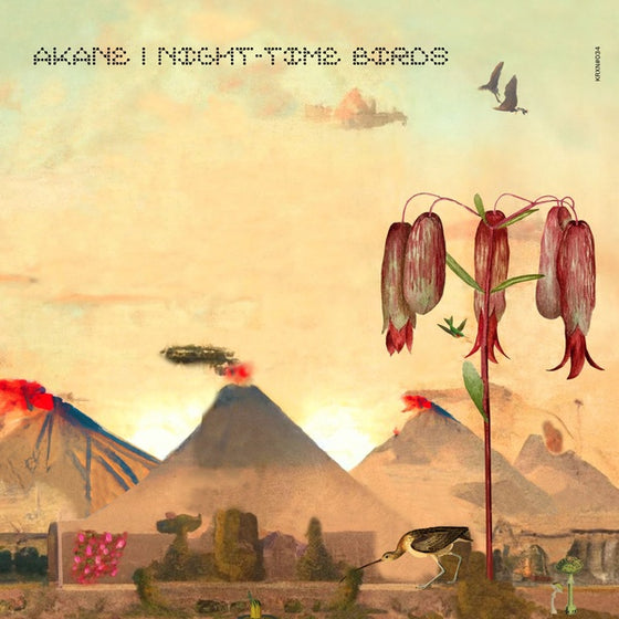 AKANE - Night-Time Birds Vinyl LP