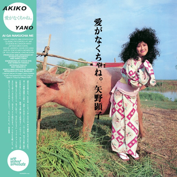 AKIKO YANO - Ai Ga Nakucha Ne Vinyl LP