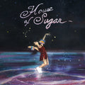 Alex G - House of Sugar Vinyl LP + MP3 DL Card