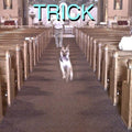 Alex G - Trick (With Bonus 7") Vinyl LP Includes bonus 7" single with "Sarah", "Adam" and "16 Mirrors"