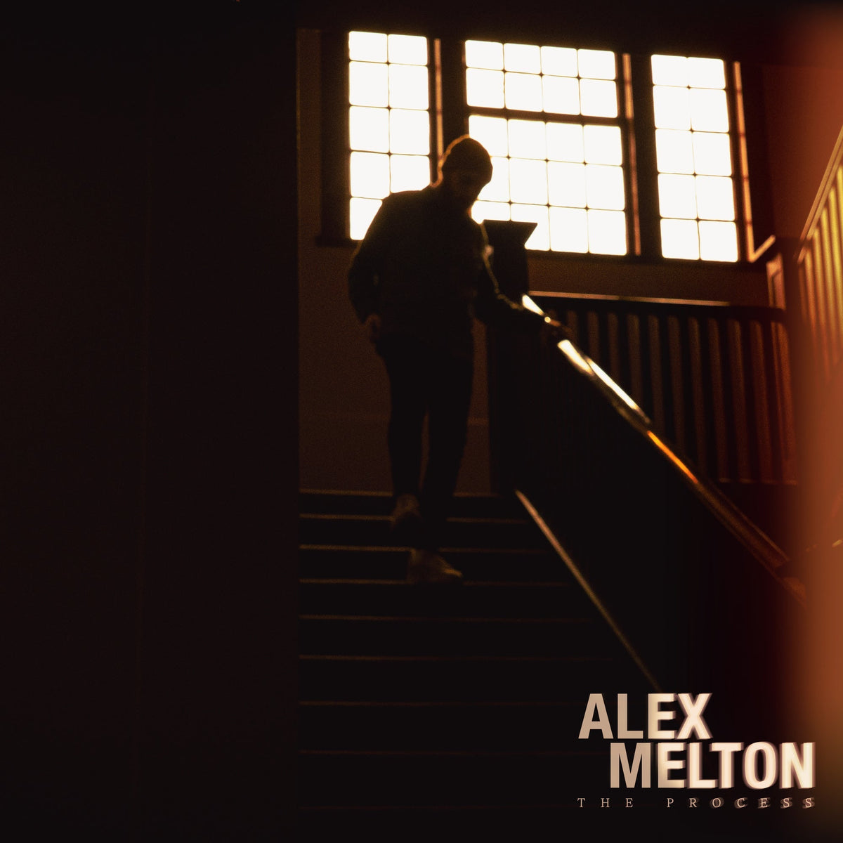 Alex Melton - The Process [Tigers Eye Marble] Vinyl