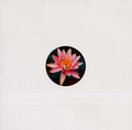 ALEXANDER ROLAND - Balungan Vinyl 12"
