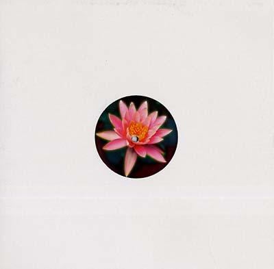 ALEXANDER ROLAND - Balungan Vinyl 12"