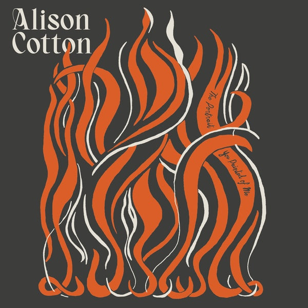 ALISON COTTON - The Portrait You Painted of Me Vinyl LP