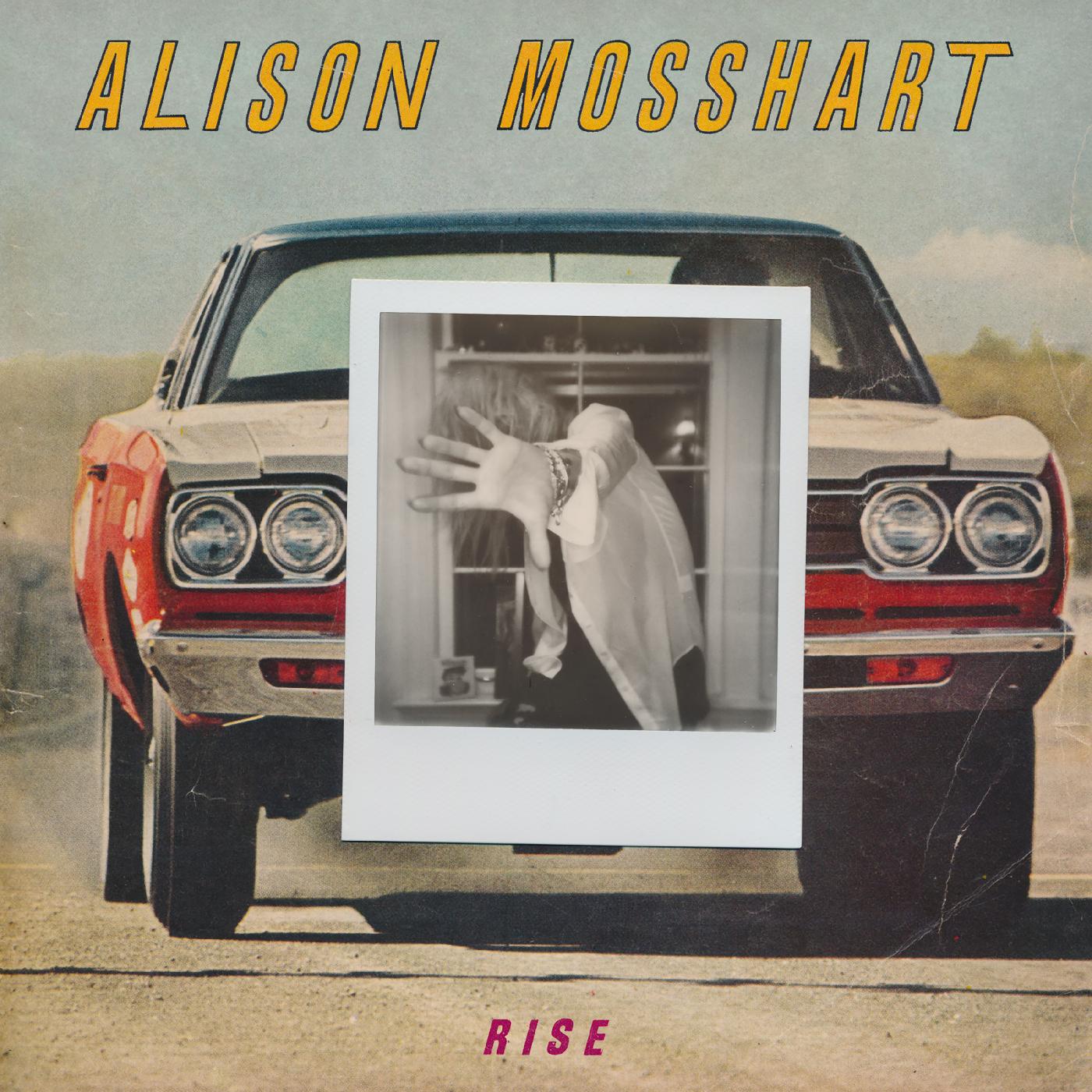 Alison Mosshart - Rise Vinyl 7" Vinyl Comes with 4 page insert [w/ download card]