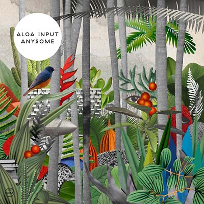 ALOA INPUT - Anysome Vinyl LP