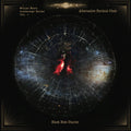 ALTERNATIVE PARTICLE CHOIR - Black Hole Diaries Vinyl 2LP