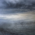 AMBASSADOR HAZY - The Door Between Vinyl LP