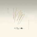AMULETS - Not Around But Through Vinyl LP