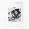 AMULETS - Rema(I)Nders Vinyl