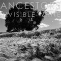 Ancestors - Invisible White (OPAQUE GRAY VINYL) Vinyl LP Opaque Gray Vinyl