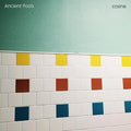 ANCIENT POOLS - Cosine Vinyl LP