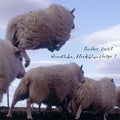 ANDERS DAHL - Hundloka, flockblomstriga 1 CD CD