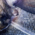 ANDREA BELFI - Between Neck & Stomach CD CD