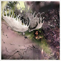 ANDREW COLBERG - On The Wreath Vinyl LP