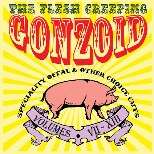 ANDREW LILES - The Flesh Creeping Gonzoid: Speciality Offal & Other Choice Cuts CD 6CD BOX/DVD