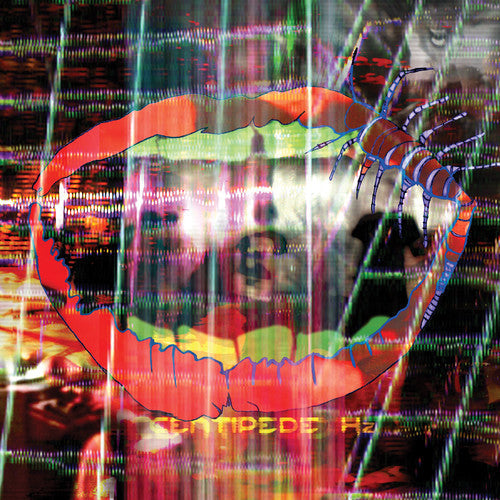 Animal Collective - Centipede HZ (MP3 Download) (2LP) Vinyl LP + MP3 DL Card