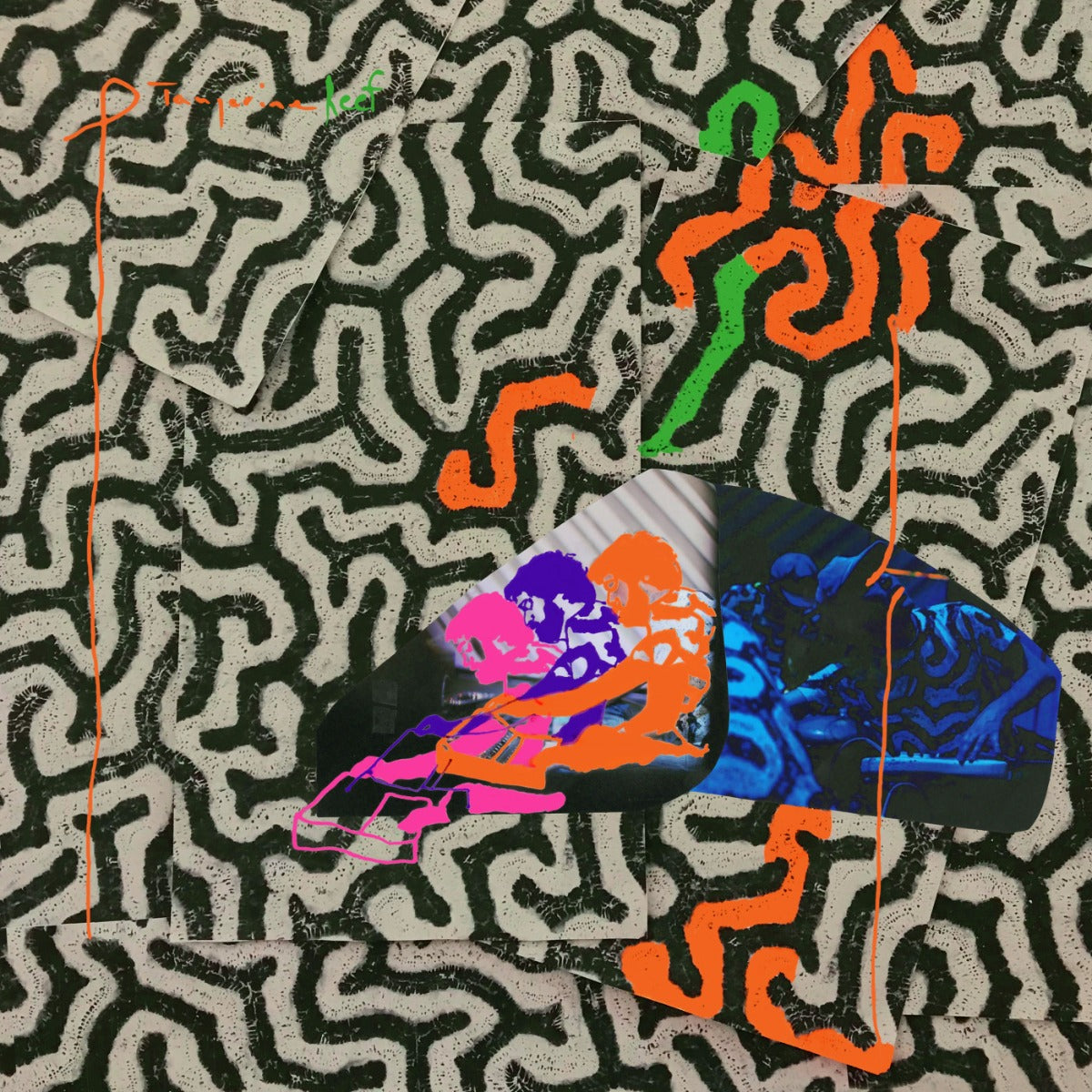 Animal Collective - Tangerine Reef (2 Lp's) Vinyl 2LP + MP3 DL Card