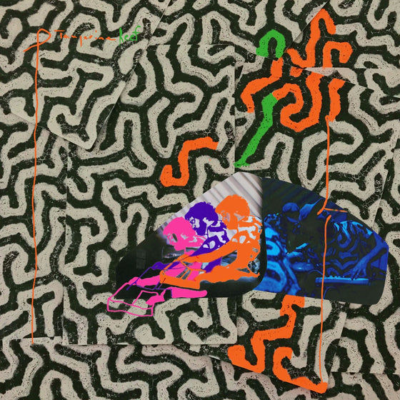 Animal Collective - Tangerine Reef (2 Lp's) Vinyl 2LP + MP3 DL Card