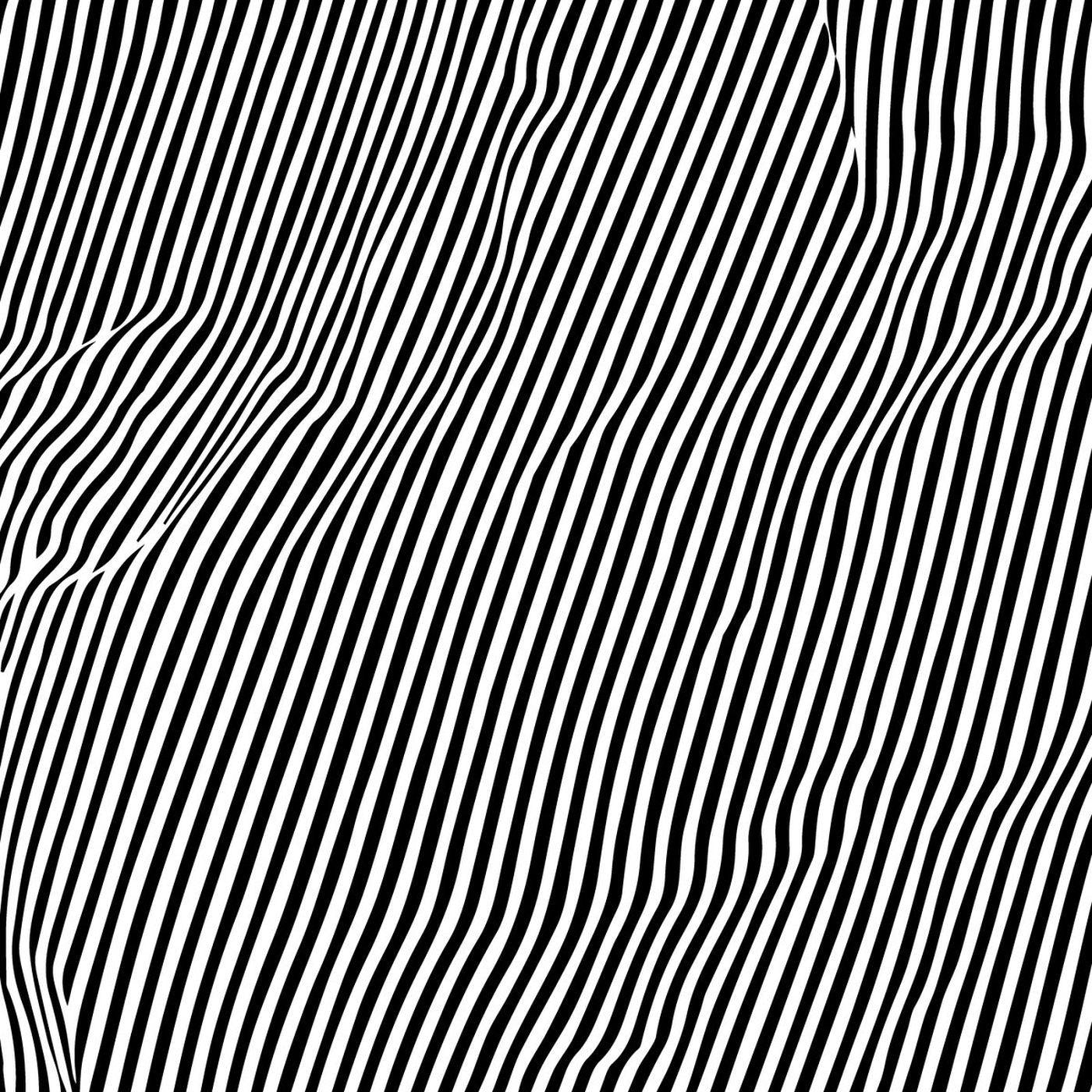Animal Hospital - Fatique Vinyl LP