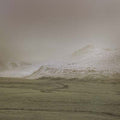AR - Wolf Notes Vinyl LP