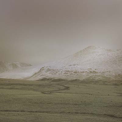 AR - Wolf Notes Vinyl LP