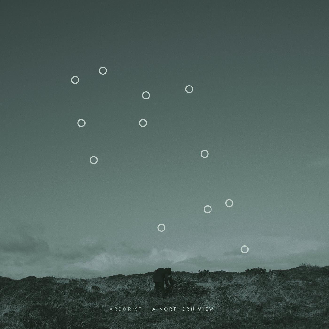 Arborist - A Northern View Vinyl LP