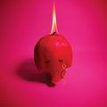 Arcade Fire - Pink Elephant (4 Panel Softpack) (28 page booklet) CD