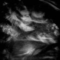 ARCHANGEL - The Bedroom Slant Vinyl 2LP