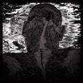 Asher Levitas - Lit Harness Vinyl LP