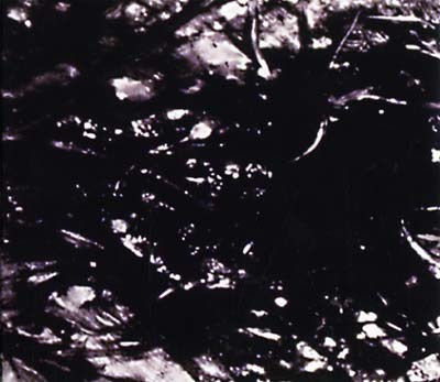 ASVA - Presences Of Absences CD CD