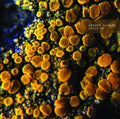 ATSUKO HATANO - Cells #2 Cassette Cassette