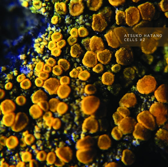 ATSUKO HATANO - Cells #2 Cassette