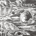 Autarkh - Form In Motion (Limited) [Transparent Red Vinyl] [2Lp] Vinyl