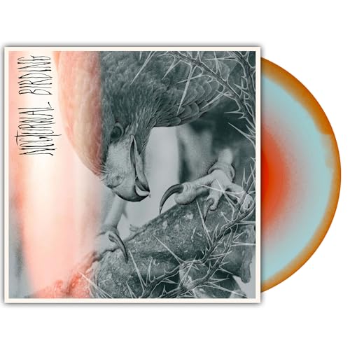 Author & Punisher - Nocturnal Birding Vinyl