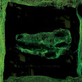 Avey Tare - Down There Vinyl LP [w/ download card]