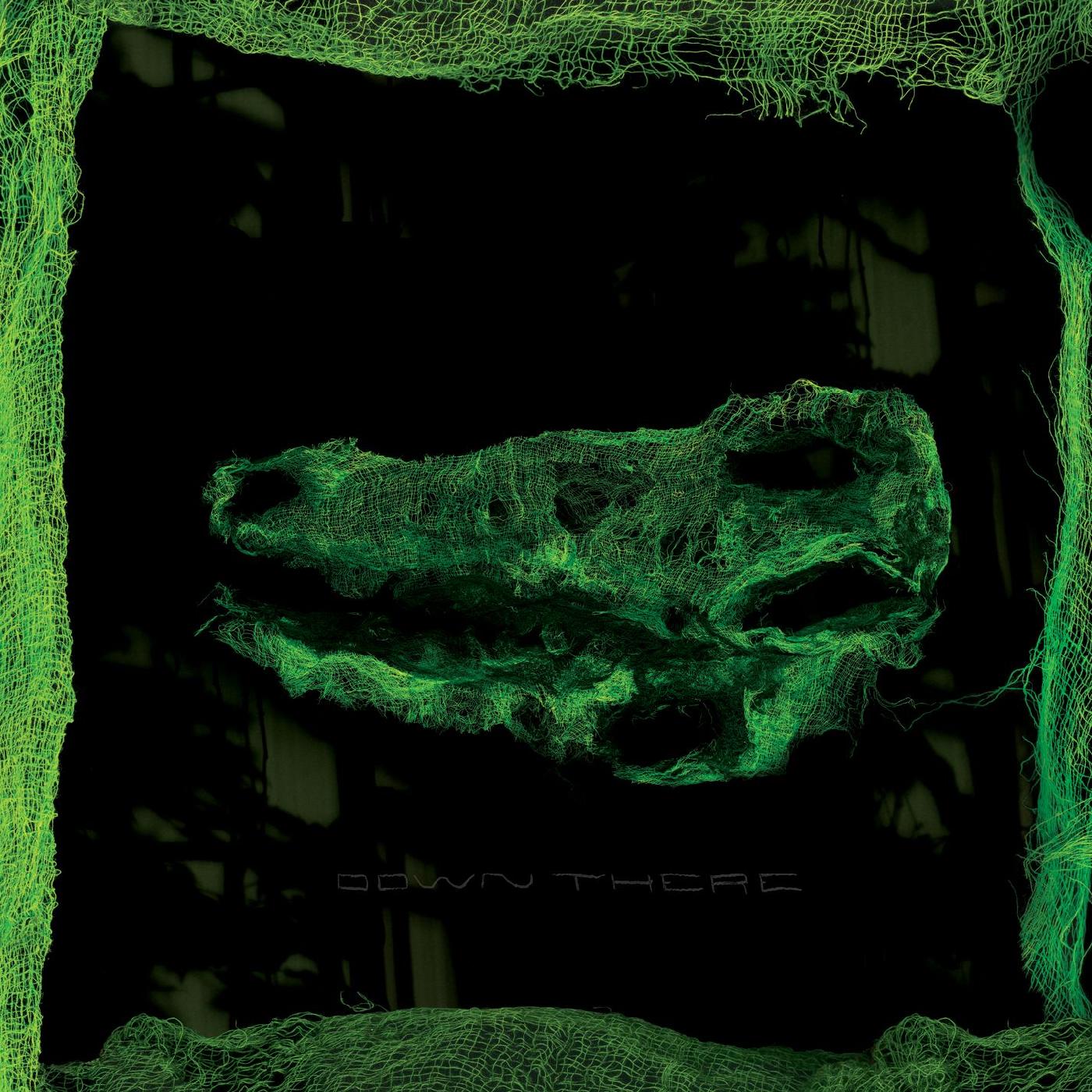 Avey Tare - Down There Vinyl LP [w/ download card]